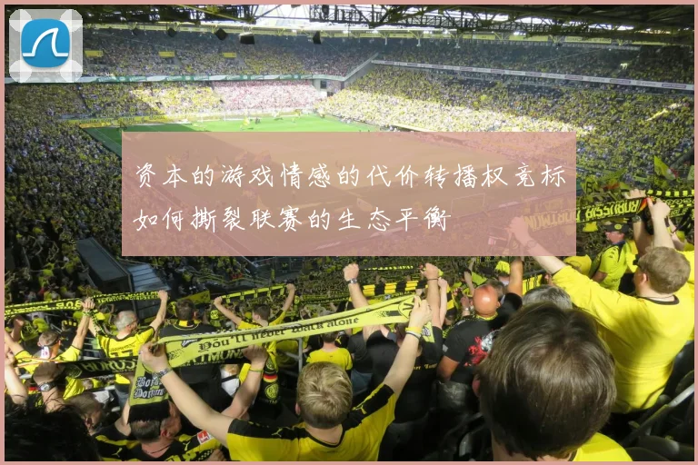 资本的游戏情感的代价转播权竞标如何撕裂联赛的生态平衡